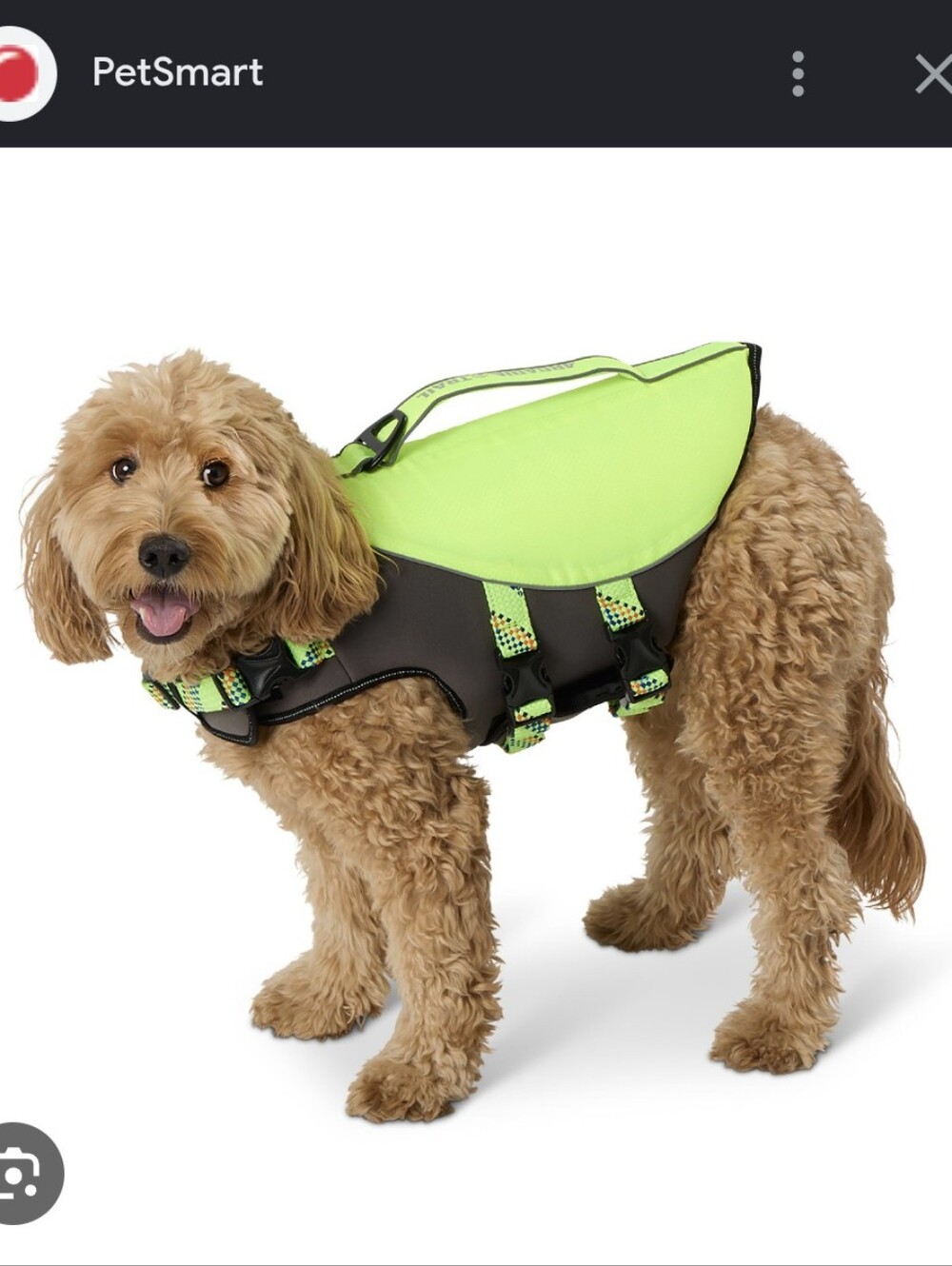 Arcadia Trail Small Dog Life Vest Vacation Lake Ocean Fun
